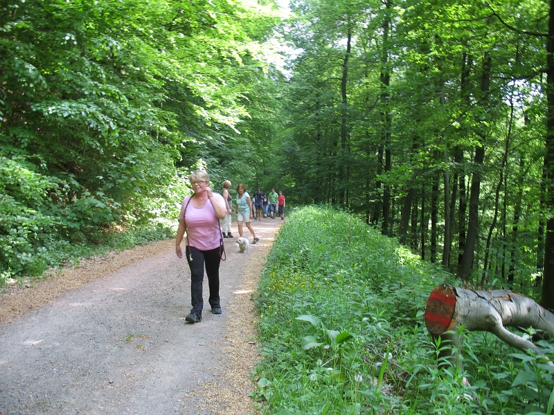 Wanderung 2011 028.jpg